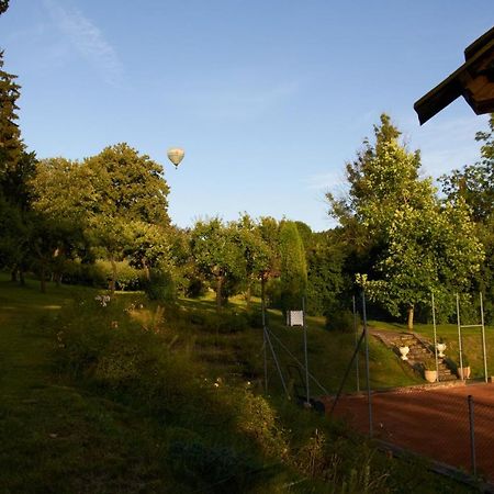 Chateau Radvanov Pension Mlada Vozice Exteriér fotografie