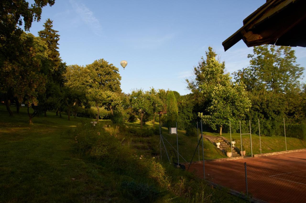 Chateau Radvanov Pension Mlada Vozice Exteriér fotografie